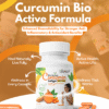 BIO ACTIVE CURCUMIN CAPSULE