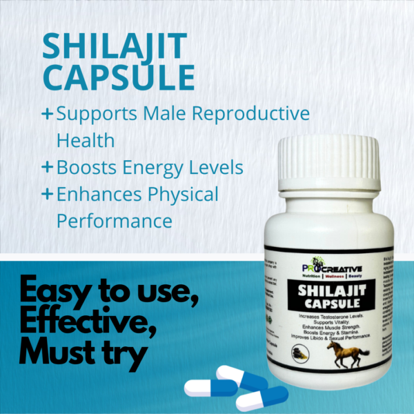 SHILAJIT CAPSULE