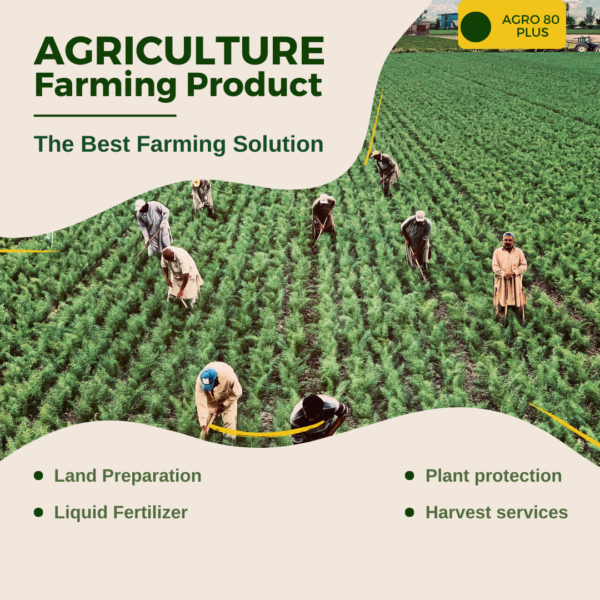 ACTIVE AGRO PLUS 80