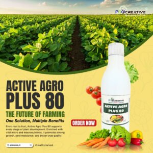 ACTIVE AGRO PLUS 80