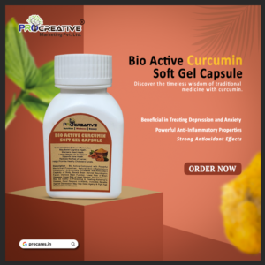 BIO ACTIVE CURCUMIN CAPSULE