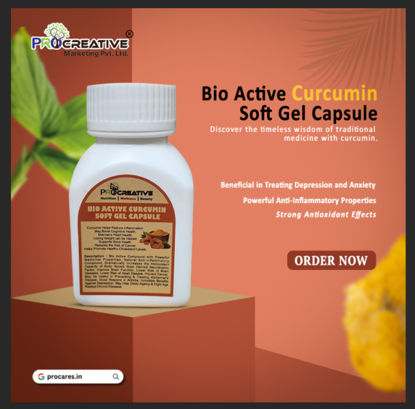 BIO ACTIVE CURCUMIN CAPSULE