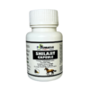 SHILAJIT CAPSULE