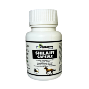 SHILAJIT CAPSULE