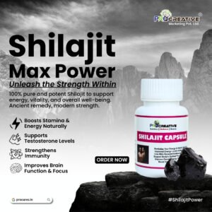SHILAJIT CAPSULE