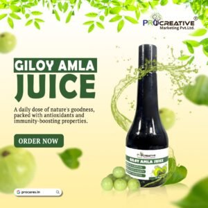 GILOY AMLA JUICE