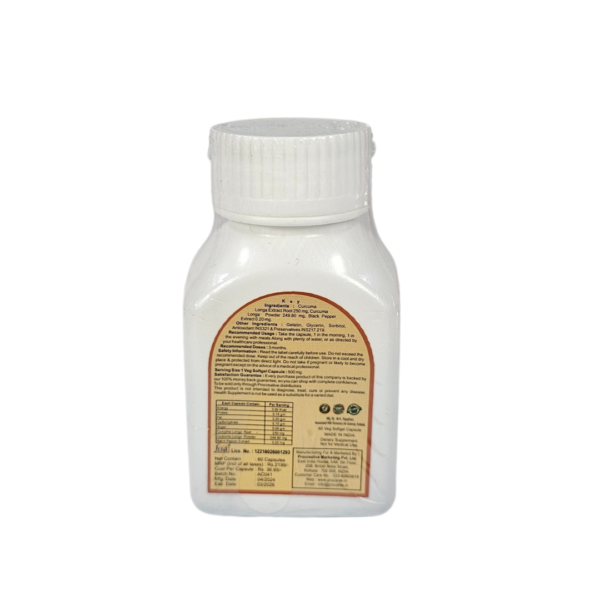 BIO ACTIVE CURCUMIN CAPSULE