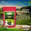 PREMIUM CTC TEA