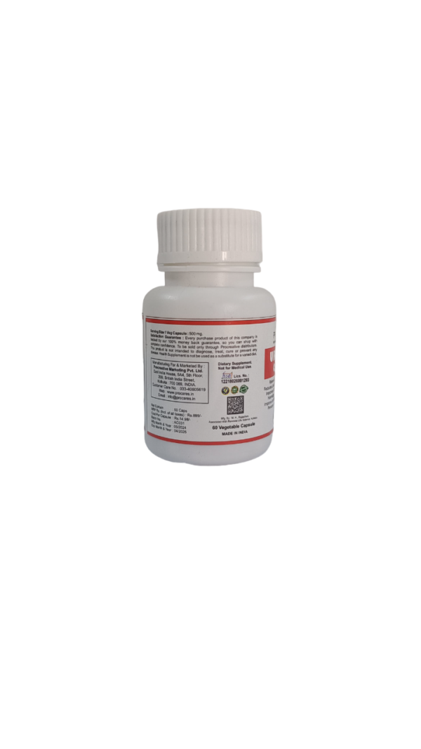 URIC ACID CAPSULE