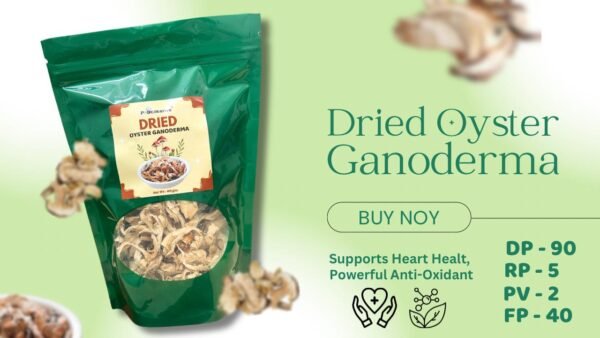 Dried Oyster Ganoderma