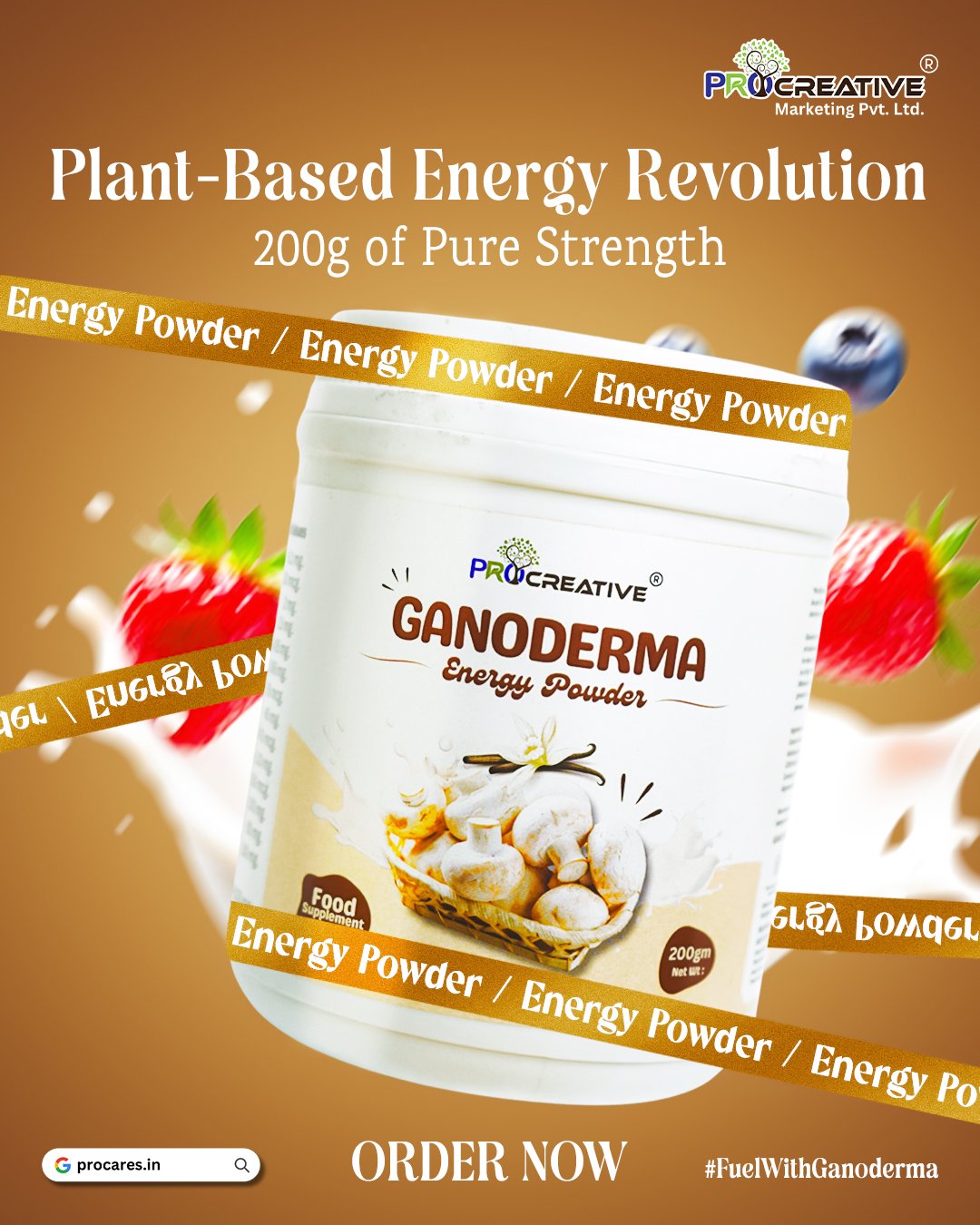Ganoderma Energy Powder