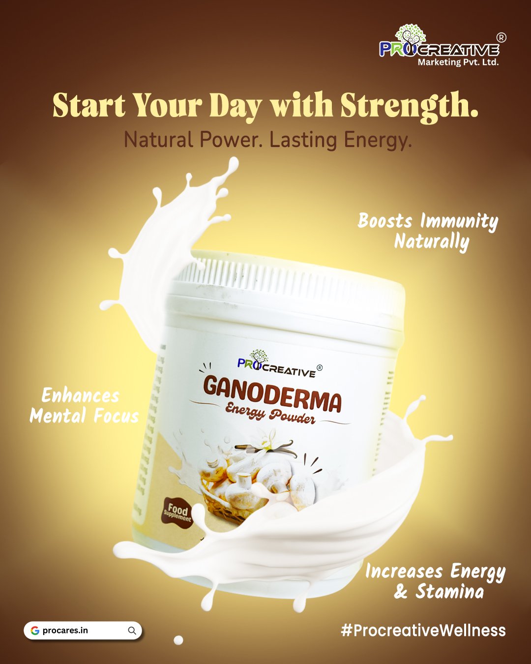 Ganoderma Energy Powder