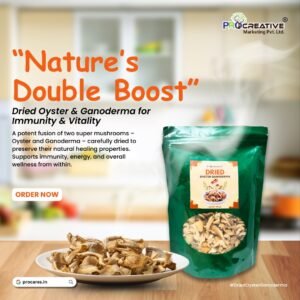 Dried Oyster Ganoderma