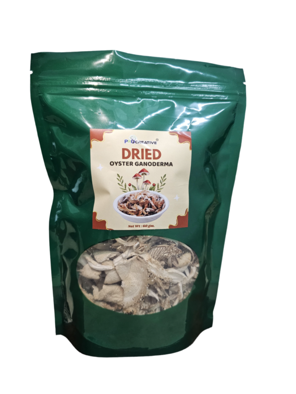 Dried Oyster Ganoderma