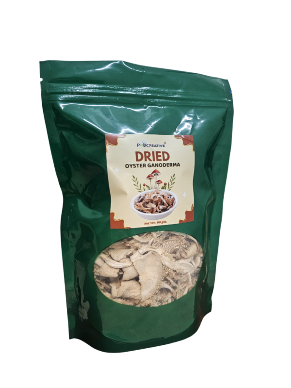 Dried Oyster Ganoderma