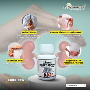 KIDNEY CARE CAPSULE