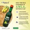 Amla Juice